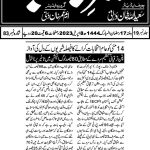 WhatsApp Image 2023-04-08 at 8.11.37 AM