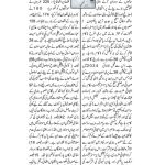 Daily Shelter Faisalabad